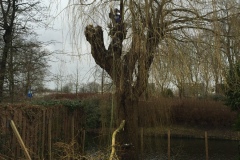 fotos-Berken-hoveniers-1