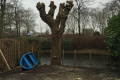 fotos-Berken-hoveniers-2