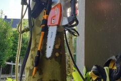 fotos-Berken-hoveniers-24