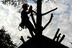 fotos-Berken-hoveniers-37