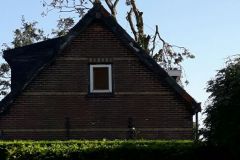 fotos-Berken-hoveniers-52