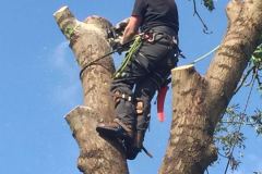 fotos-Berken-hoveniers-53