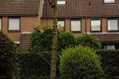 fotos-Berken-hoveniers-60