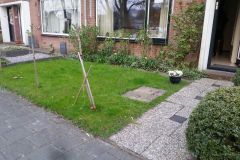 fotos-Berken-hoveniers-44