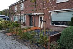 fotos-Berken-hoveniers-56