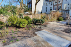 Tuin Amsterdam