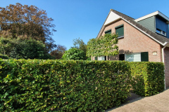 Tuinonderhoud kudelstaart