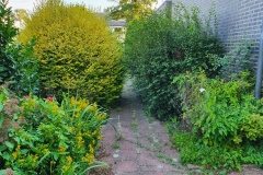 20200723_073245