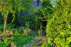 20200723_073326